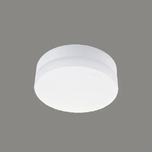 چراغ روکار F6561/25W — سفید