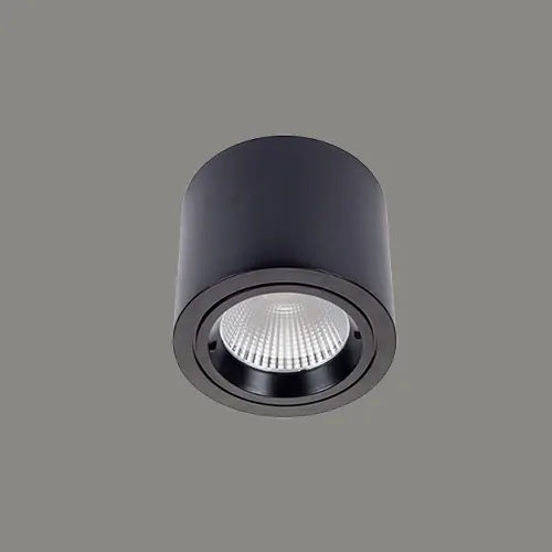 سقفی روکار D411/25W — سفید، مشکی