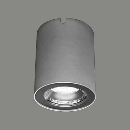 B8ZJ0129 — surface-mounted ceiling/outdoor light (چراغ سقفی روکار, 1x12W) — خاکستری