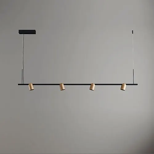 LC217 — pendant/ceiling light (چراغ آویز, 22W) — مشکی، نیکل